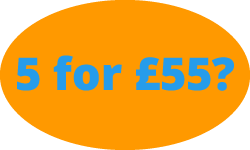 5 lessons for £55